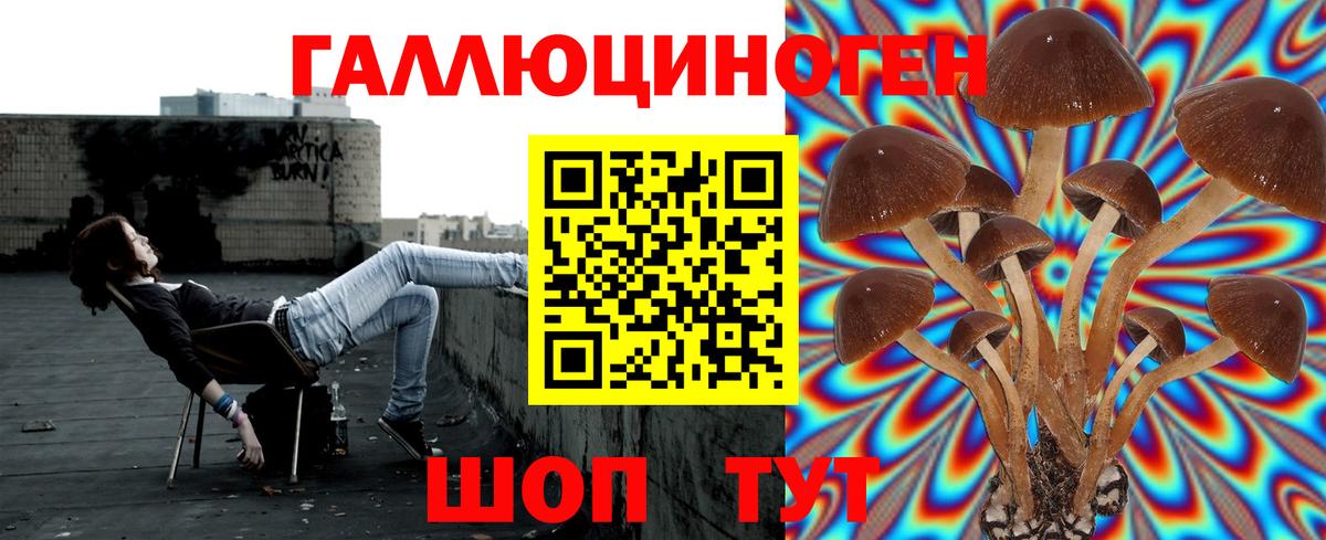 Нижнекамск  Псилоцибиновые грибы Psilocybine cubensis  Вход с VPN 